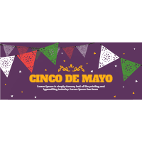 Set of cinco mayo banners with mexican elements 2 design template for print-on-demand