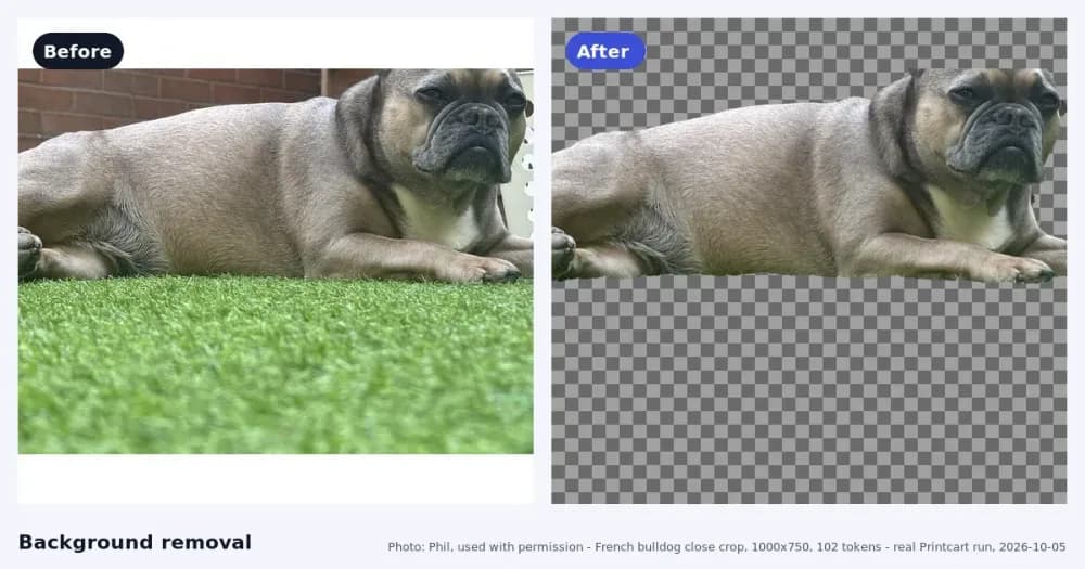 How to Make a Transparent PNG for Print-on-Demand T-Shirts cover