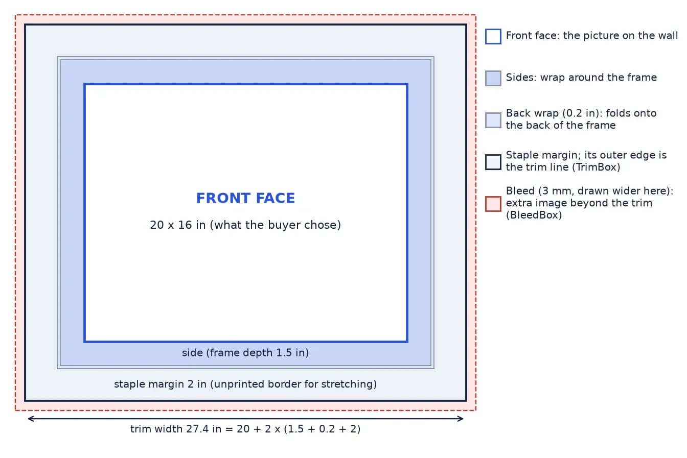 Diagram of the print sheet for a 20 x 16 inch canvas with a 1.5 inch frame: face, sides, back wrap, staple margin, trim and bleed