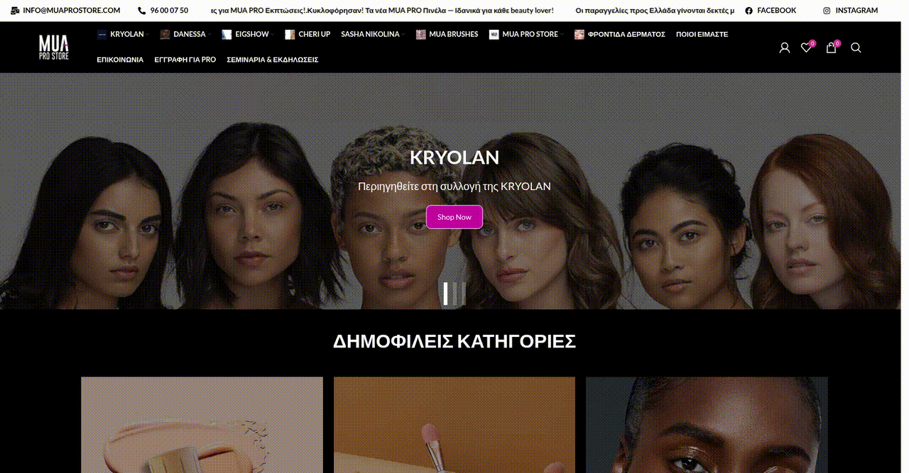 Transforming Online Presence and Ordering Workflow for a Custom Product Store - project preview