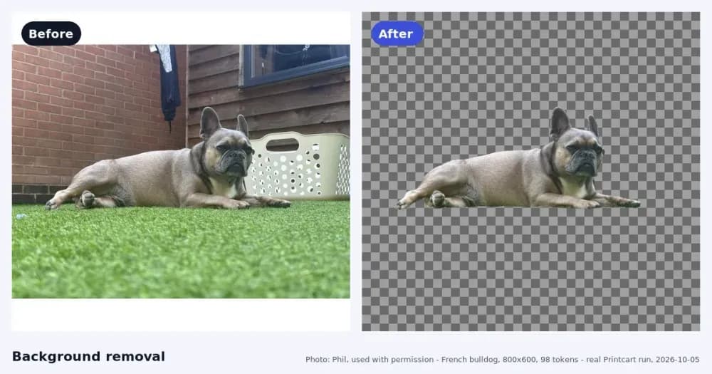 How to Remove Backgrounds from Product Photos for Etsy and Shopify cover