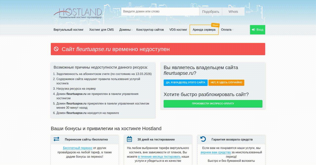 Enhancing Online Ordering Systems for Improved Customer Experience and Efficiency - project preview