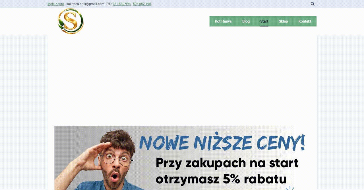 Enhancing Online Ordering and Service Discoverability for a Printing Business - project preview