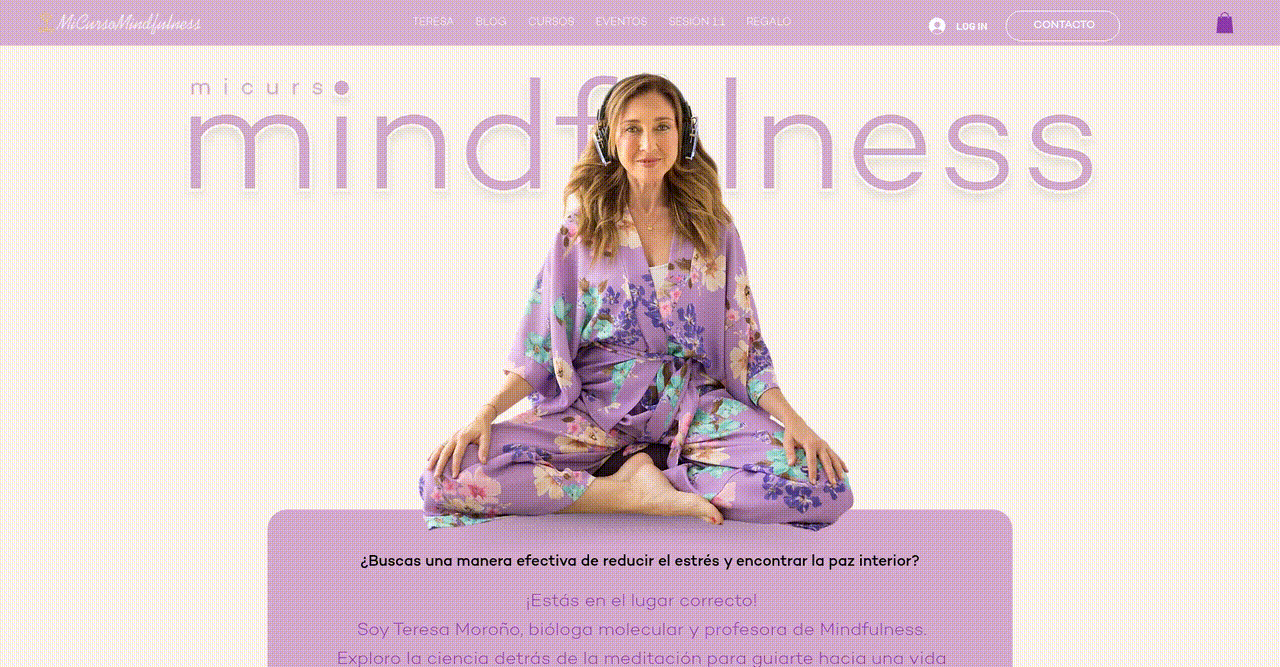 Transforming Online Ordering for Mindfulness Services with Improved UX - project preview